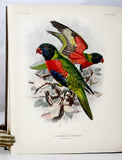 A Monograph of the Lories, or brush-tongued parrots, composing the family Loriidae