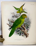A Monograph of the Lories, or brush-tongued parrots, composing the family Loriidae