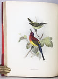 A Monograph of the Nectariniidae, or Family of Sunbirds