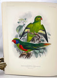 A Monograph of the Lories, or brush-tongued parrots, composing the family Loriidae