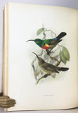 A Monograph of the Nectariniidae, or Family of Sunbirds