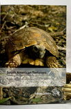 South American Tortoises: Chelonoidis carbonaria, C. denticulata and C. chilensis