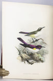 A Monograph of the Nectariniidae, or Family of Sunbirds