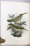 A Monograph of the Nectariniidae, or Family of Sunbirds