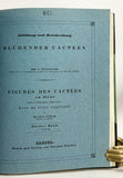 Abbildung und Beschreibung blühender Cacteen. Figures des Cactées en fleur peintes et lithographiées d'après nature (two volumes complete bound in one volume)