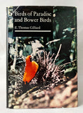 Birds of Paradise and Bower Birds
