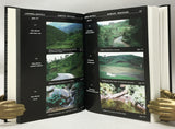 Amphibians and Reptiles of Nepal