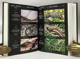 Amphibians and Reptiles of Nepal