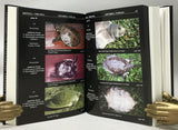 Amphibians and Reptiles of Nepal