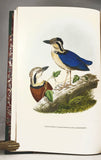A Monograph of the Pittidae, or Family of Ant Thrushes (first edition)