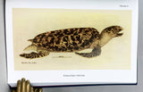 Les Tortues de l'Indochine avec une note sur la pêche et l'elevage des tortues de mer par F. Le Poulain