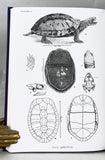 Les Tortues de l'Indochine avec une note sur la pêche et l'elevage des tortues de mer par F. Le Poulain