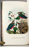 A Monograph of the Pittidae, or Family of Ant Thrushes (first edition)