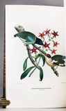 A Monograph of the Pittidae, or Family of Ant Thrushes (first edition)