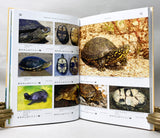 Turtles of the World, Volumes 1-5 (the complete five-volume set)