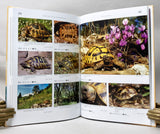 Turtles of the World, Volumes 1-5 (the complete five-volume set)