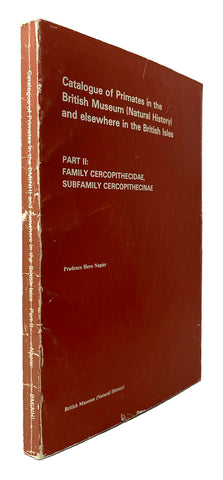 Catalogue of Primates in the British Museum (Natural History) and elsewhere in the British Isles. Part II: Family Cercopithecidae, Subfamily Cercopithecinae