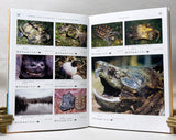 Turtles of the World, Volumes 1-5 (the complete five-volume set)