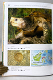 Turtles of the World, Volumes 1-5 (the complete five-volume set)