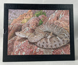 Rattlesnakes of Arizona, Vol. 1: Species Accounts and Natural History + Vol. 2: Conservation, Behavior, Venom, and Evolution + Book of Plates, housed in slipcase (special leatherbound limited edition)
