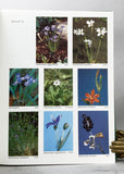 Wild Flowers of the United States, 6 volumes in 14 parts with slipcases + Index volume, complete