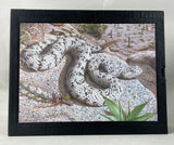 Rattlesnakes of Arizona, Vol. 1: Species Accounts and Natural History + Vol. 2: Conservation, Behavior, Venom, and Evolution + Book of Plates, housed in slipcase (special leatherbound limited edition)