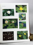 Wild Flowers of the United States, 6 volumes in 14 parts with slipcases + Index volume, complete