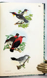 Beitrag zur Fauna Centralpolynesiens. Ornithologie der Viti-, Samoa- und Tonga- Inseln