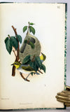 Beitrag zur Fauna Centralpolynesiens. Ornithologie der Viti-, Samoa- und Tonga- Inseln