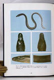 Sea Snakes of Taiwan: A Natural History of Sea Snakes