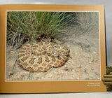 Rattlesnakes of Arizona, Vol. 1: Species Accounts and Natural History + Vol. 2: Conservation, Behavior, Venom, and Evolution + Book of Plates, housed in slipcase (special leatherbound limited edition)