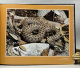 Rattlesnakes of Arizona, Vol. 1: Species Accounts and Natural History + Vol. 2: Conservation, Behavior, Venom, and Evolution + Book of Plates, housed in slipcase (special leatherbound limited edition)