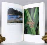 Okoboji Wetlands: A Lesson in Natural History