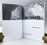 Sea Snakes