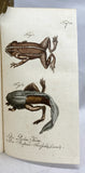 Herrn de la Cepede's Naturgeschichte der Amphibien, oder der enerlegenden vierfussigen Thiere und der Schlangen: Eine Fortsetzung von Buffon's Naturgeschichte, in five volumes with hand-colored plates