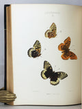 The Butterflies of North America, in 2 volumes (first series and second series)