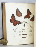 The Butterflies of North America, in 2 volumes (first series and second series)