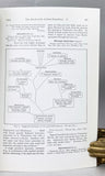 Results of the Archbold Expeditions No. 47: Review of the Vespertilionine Bats, with special attention to genera and species of the Archbold Collections