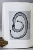 The Biology of Sea Snakes