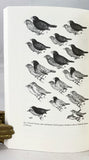 Darwin's Finches: Readings in the Evolution of a Scientific Paradigm