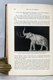 The Age of Mammals in Europe, Asia and North America