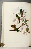 A Monograph of the Trochilidae, or Family of Humming-Birds (Supplement)