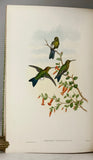 A Monograph of the Trochilidae, or Family of Humming-Birds (Supplement)