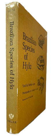 Brazilian Species of Hyla