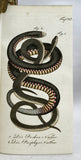 Herrn de la Cepede's Naturgeschichte der Amphibien, oder der enerlegenden vierfussigen Thiere und der Schlangen: Eine Fortsetzung von Buffon's Naturgeschichte, in five volumes with hand-colored plates