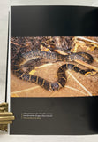 Snakes of Arizona (special leatherbound limited edition)