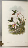 A Monograph of the Trochilidae, or Family of Humming-Birds (Supplement)