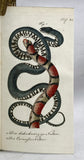 Herrn de la Cepede's Naturgeschichte der Amphibien, oder der enerlegenden vierfussigen Thiere und der Schlangen: Eine Fortsetzung von Buffon's Naturgeschichte, in five volumes with hand-colored plates