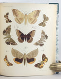 Lepidopteren von Madagascar. Neue und weig bekannte Arten zumeist aus der Sammlung der Senckenberg’schen naturforschenden Gesellschaft zu Frankfurt am Main, 2 Parts, complete (bound in one volume).