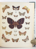 Lepidopteren von Madagascar. Neue und weig bekannte Arten zumeist aus der Sammlung der Senckenberg’schen naturforschenden Gesellschaft zu Frankfurt am Main, 2 Parts, complete (bound in one volume).